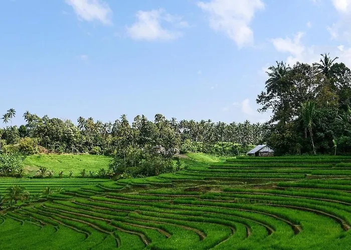 The Ravaya Arim -peaceful, Romantic, Natural *