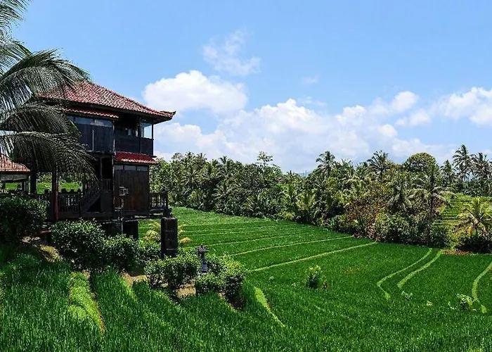 The Ravaya Arim -peaceful, Romantic, Natural Hébergement de vacances