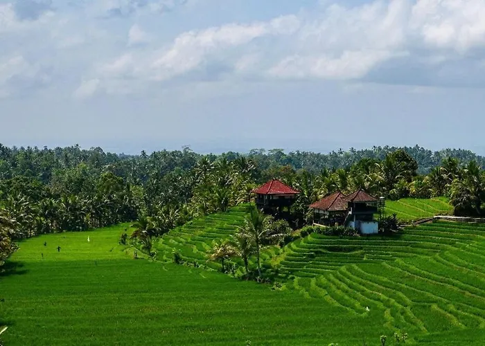 The Ravaya Arim -peaceful, Romantic, Natural