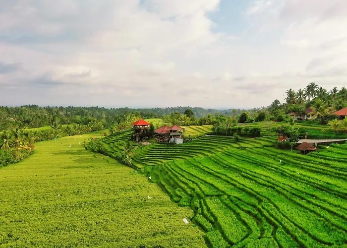 The Ravaya Arim -peaceful, Romantic, Natural *