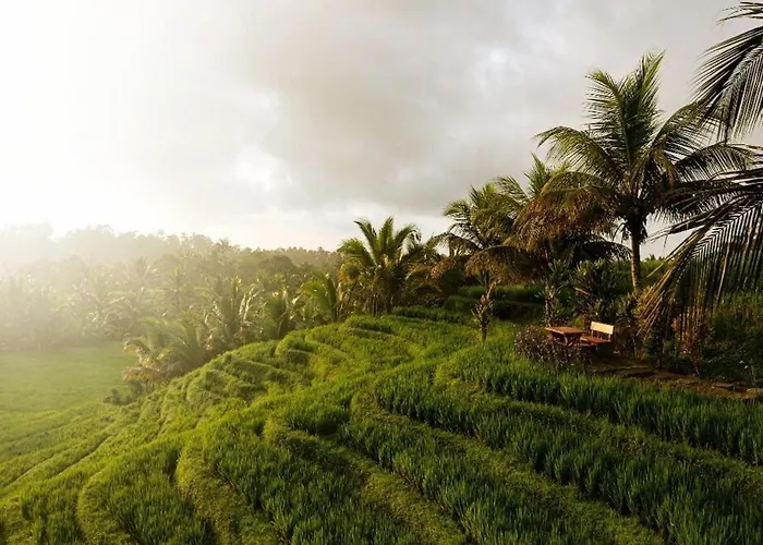 The Ravaya Arim -peaceful, Romantic, Natural Hébergement de vacances