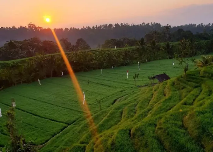 The Ravaya Arim -peaceful, Romantic, Natural