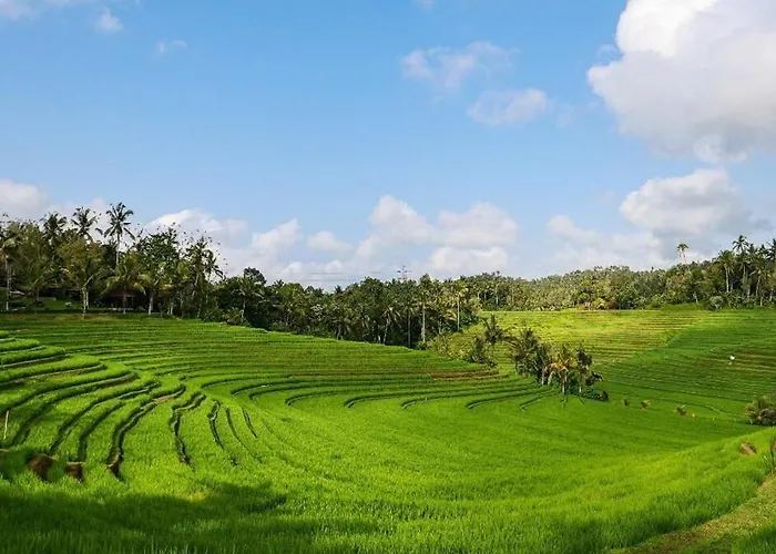 The Ravaya Arim -peaceful, Romantic, Natural Hébergement de vacances Blimbing (Bali)