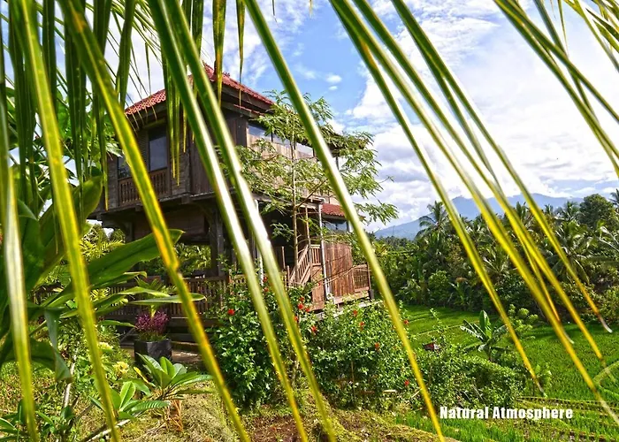 The Ravaya Arim -peaceful, Romantic, Natural Blimbing (Bali)
