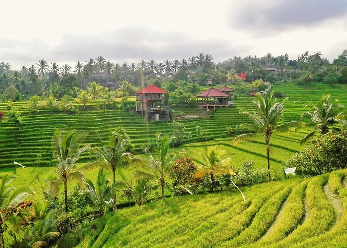 The Ravaya Arim -peaceful, Romantic, Natural *